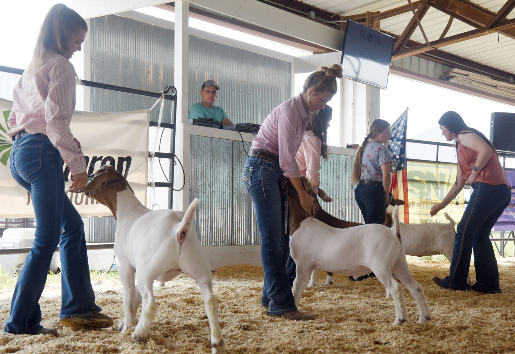 Blair Schnarre, Charlie Hazelrigg, Rylee Wehmeyer and Dakota Varril line up with their goats